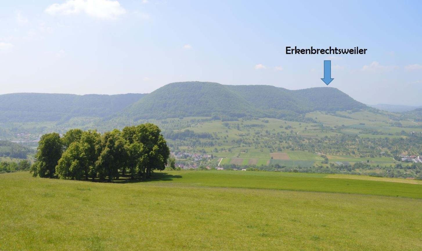 Fewo-Alb-Traum Erkenbrechtsweiler Extérieur photo