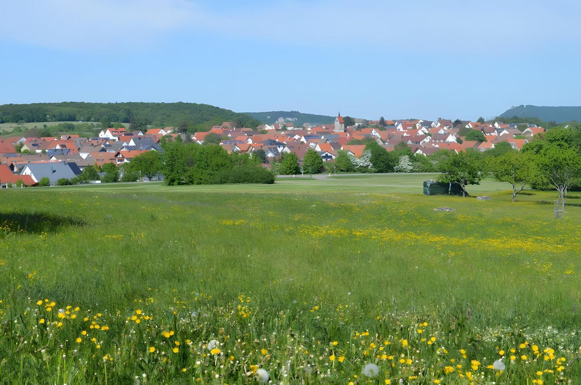 Fewo-Alb-Traum Erkenbrechtsweiler Extérieur photo